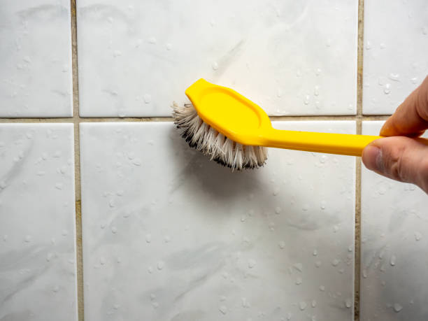 Best Commercial Mold Removal  in Lorena, TX
