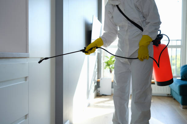 Best Residential Mold Removal  in Lorena, TX