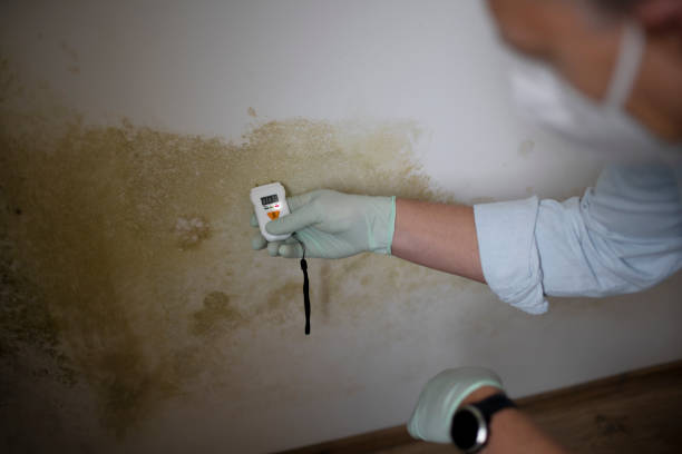 Best Emergency Mold Removal  in Lorena, TX