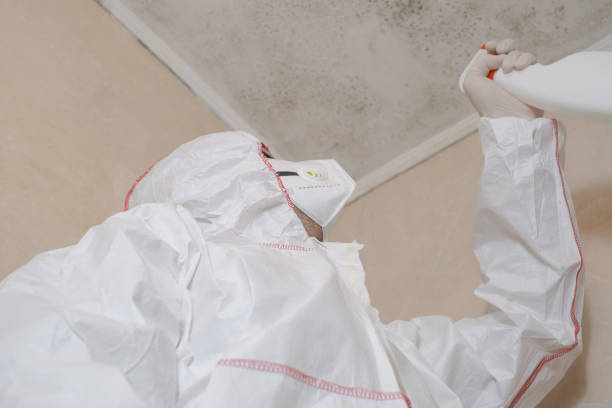 Best Attic Mold Removal  in Lorena, TX