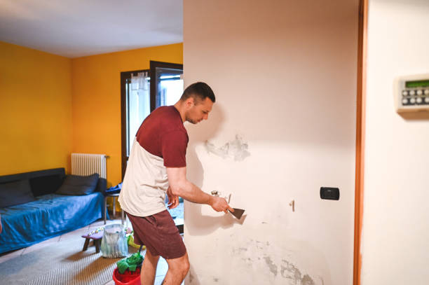 Best Mold Removal Specialists  in Lorena, TX