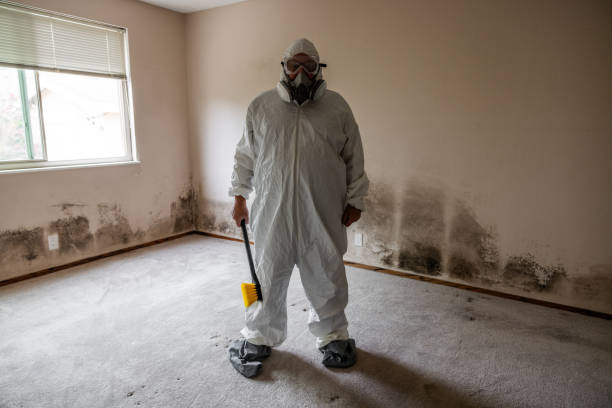 Certified Mold Removal in Lorena, TX